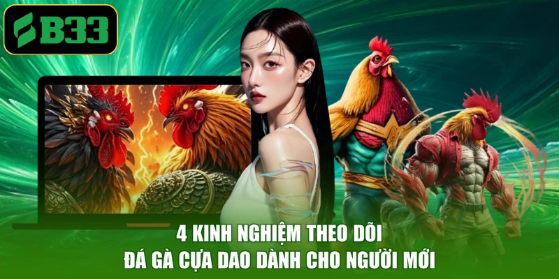 4 kinh nghiệm theo dõi đá gà cựa dao dành cho người mới