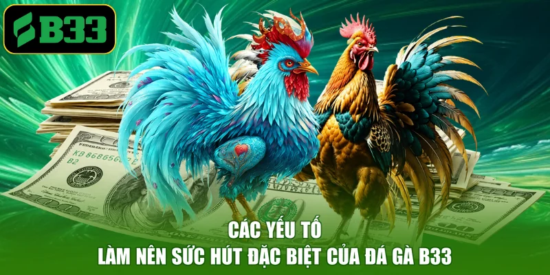 Các yếu tố làm nên sức hút đặc biệt của đá gà B33