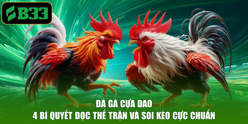 Đá Gà Cựa Dao - 4 Bí Quyết Đọc Thế Trận Và Soi Kèo Cực Chuẩn