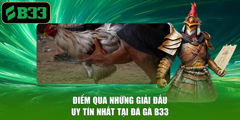 Điểm qua những giải đấu uy tín nhất tại đá gà B33