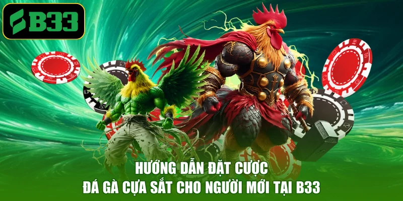 Hướng dẫn đặt cược đá gà cựa sắt cho người mới tại B33