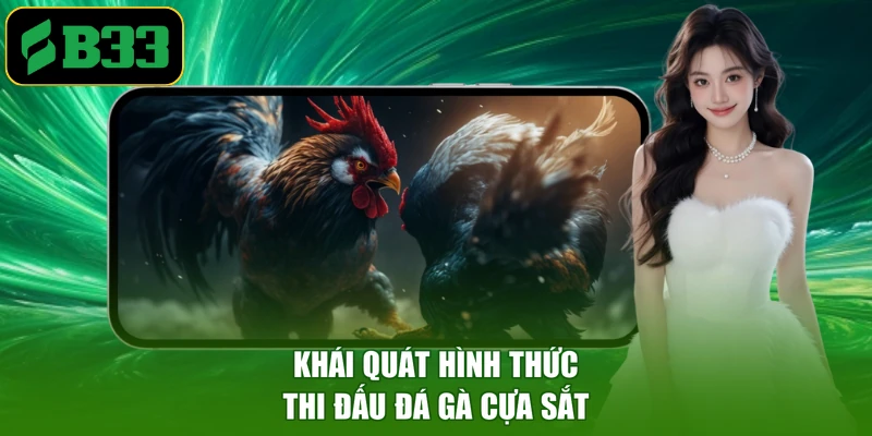Khái quát hình thức thi đấu đá gà cựa sắt