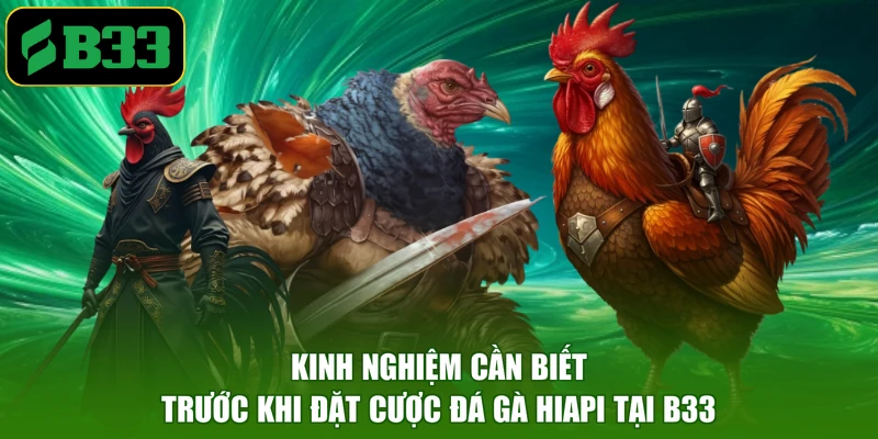 Kinh nghiệm cần biết trước khi đặt cược đá gà HIAPI tại B33