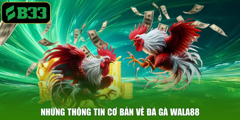Những thông tin cơ bản về đá gà Wala88
