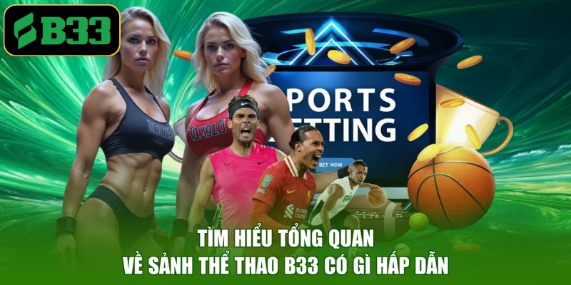 Tìm hiểu tổng quan về sảnh thể thao B33 có gì hấp dẫn
