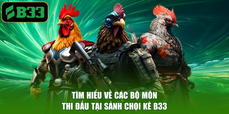 Tìm hiểu về các bộ môn thi đấu tại sảnh chọi kê B33