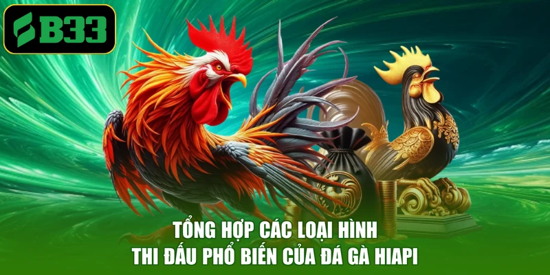 Tổng hợp các loại hình thi đấu phổ biến của đá gà HIAPI